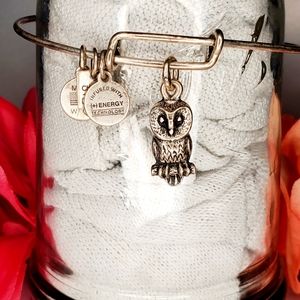 Alex and Ani Owl Charm Bangle Silver Bracelet